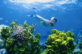 Wheeler Reef Dive Site - Winery Find 0