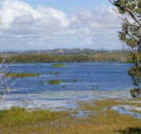 Lake Barfield - Winery Find