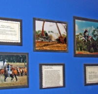Town Hall Photographic Display - Winery Find