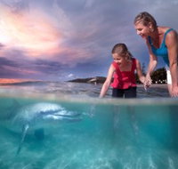 Tangalooma Island Resort - Winery Find