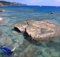 Maureens Cove Hook Island - Winery Find