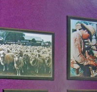 Charleville Photographic Display - Winery Find