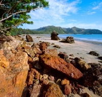 Diversity Boardwalk - Winery Find