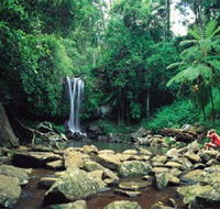 Tamborine National Park - Winery Find