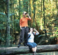 Birdwatching on the Fraser Coast - Winery Find