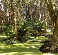 Arkarra Lagoons and Tea Gardens - Winery Find
