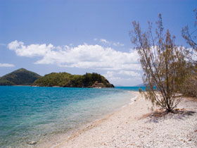 Paddle Bay Track And Campsite - Winery Find 0