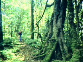 Clumber QLD Winery Find