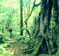 Mt Superbus - Winery Find