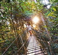 Tree Top Walkway - Winery Find