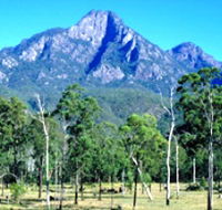 Mount Barney National Park - Winery Find
