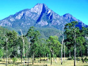 Mount Barney National Park - Winery Find 0