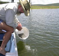 Eungella Dam - Winery Find