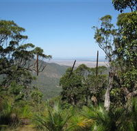 Zamia Walk - Winery Find