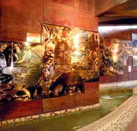 Riversleigh Fossil Centre - Winery Find