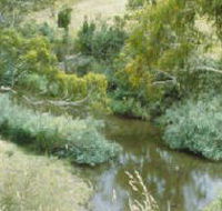 Yarrambat Park - Winery Find