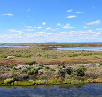 Point Cook Coastal Park - Winery Find