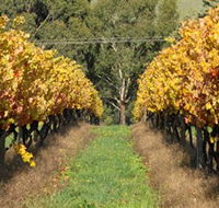 Wild Dog Winery  Restaurant - Winery Find