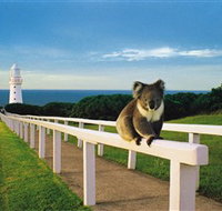 Cape Otway Lightstation - Winery Find