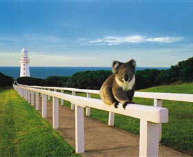 Cape Otway Lightstation - Winery Find 0