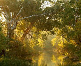 Brimbank Park - Winery Find 0