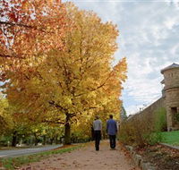 Indigo Gold Trail - Winery Find