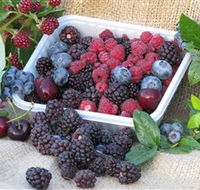 Bright Berry Farms - Winery Find