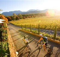 Boyntons Feathertop Winery - Winery Find