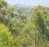 Bunyip State Park - Winery Find