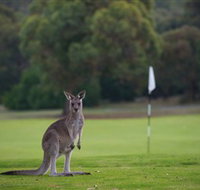Anglesea Golf Club - Winery Find