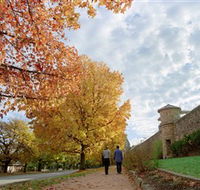 Beechworth Historic Park - Winery Find
