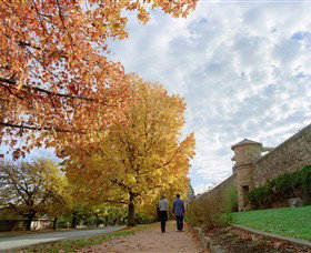 Beechworth Historic Park - Winery Find 0