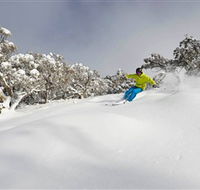 Mt Buller and Mt Stirling Alpine Resort - Winery Find