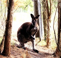Great Ocean Road Wildlife Park - Winery Find