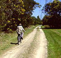 Koomba Park - Winery Find