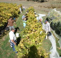 Blakes Estate Winery - Winery Find