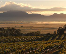 Montara Wines - Winery Find 0
