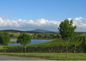 Yarrawood Estate - Winery Find 0
