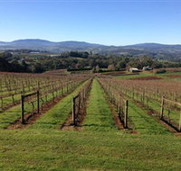 Elmswood Estate - Winery Find