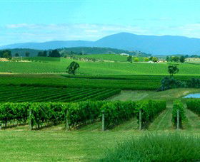 Acacia Ridge Vineyard - Winery Find 0