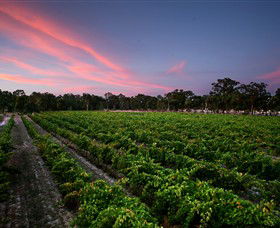 Amherst Winery - Winery Find 0