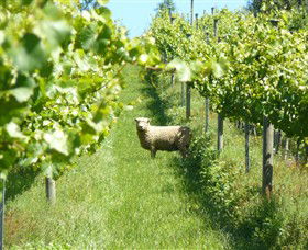 Passing Clouds - Winery Find 0