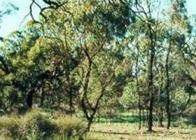 Appin South VIC Winery Find