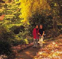 George Tindale Memorial Gardens - Winery Find