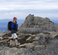 Mount Buffalo National Park - Winery Find