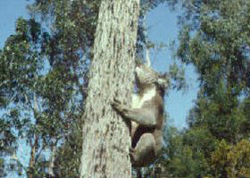 Creswick Regional Park - Winery Find 0