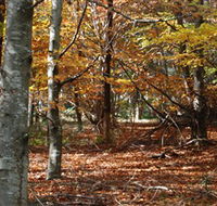 RJ Hamer Arboretum - Winery Find