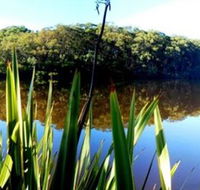 Aura Vale Lake Park - Winery Find