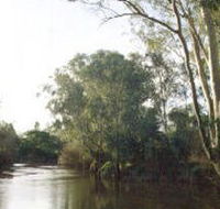 Banksia Park - Winery Find