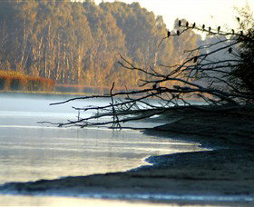 Barmah National Park - Winery Find 0